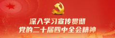 深入学习宣传贯彻党的二十届四中全会精神